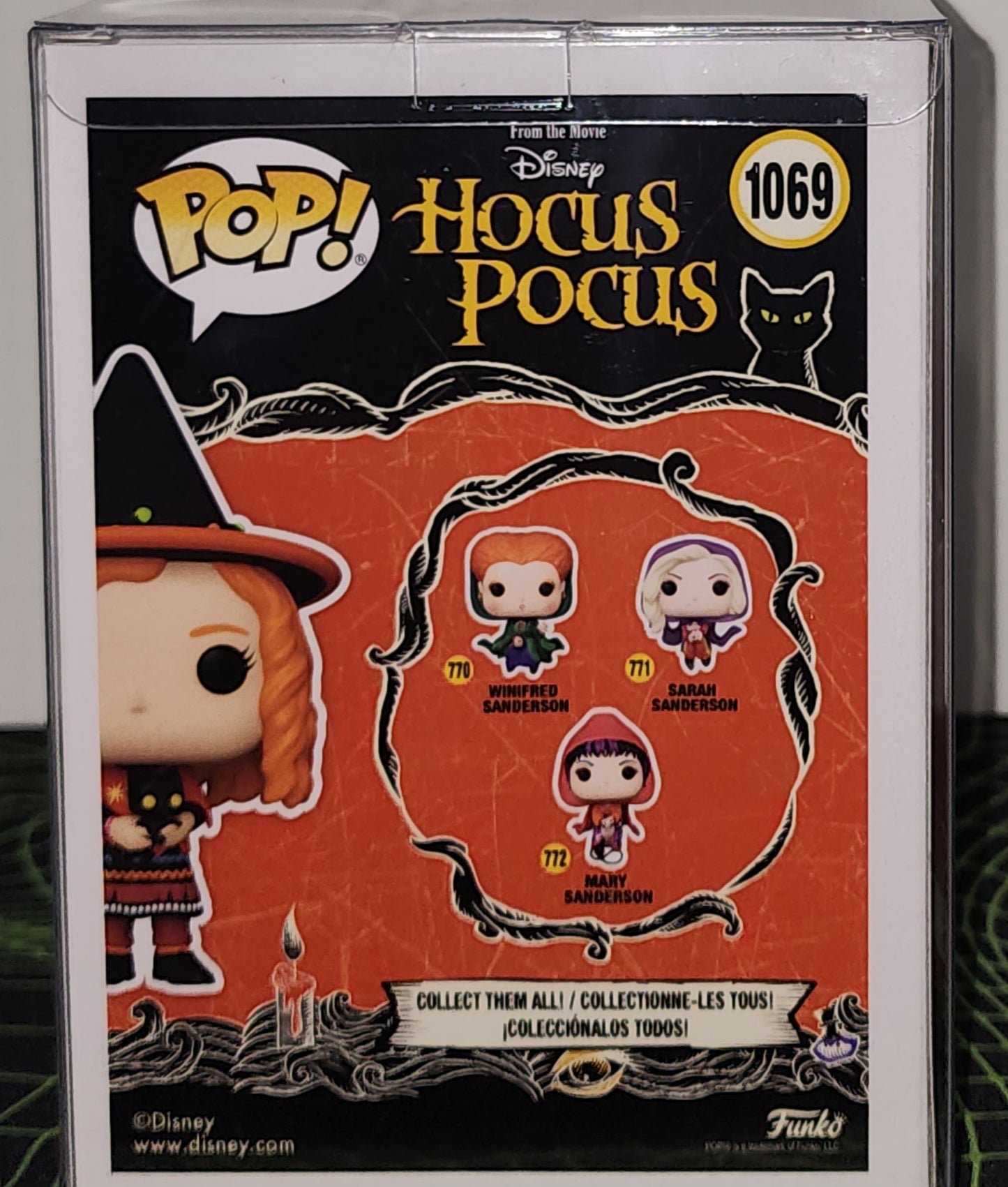 Dani With Binx Funko Pop 1069